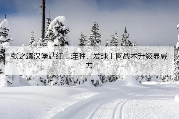 zhang-zhi-zhen-han-bao-zhan-hong-tu-lian-sheng-fa-qiu-shang-wang-zhan-shu-sheng-ji-xian-wei-li-3-492.jpg