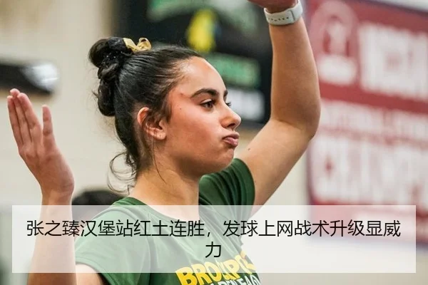 张之臻汉堡站红土连胜，发球上网战术升级显威力