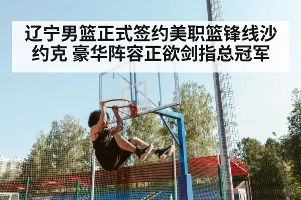 辽宁男篮正式签约美职篮锋线沙约克 豪华阵容正欲剑指总冠军